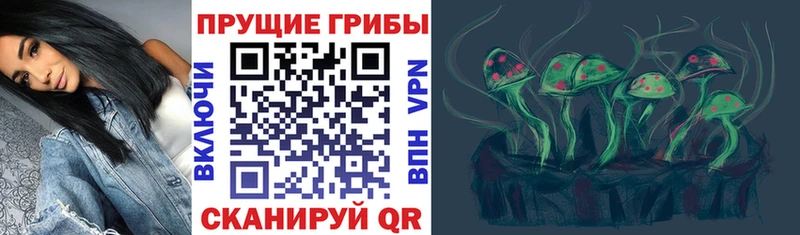 Галлюциногенные грибы мухоморы  магазин продажи наркотиков  МЕГА ССЫЛКА  Кимры 