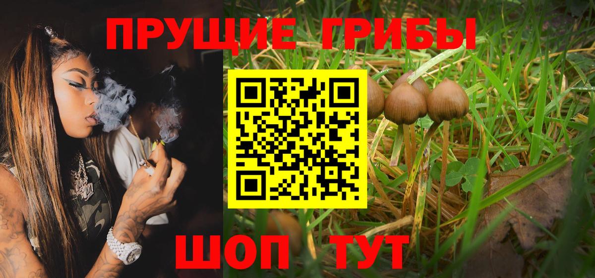 Галлюциногенные грибы MAGIC MUSHROOMS  Псилоцибиновые грибы Psilocybine cubensis  Кимры  Вход с VPN 